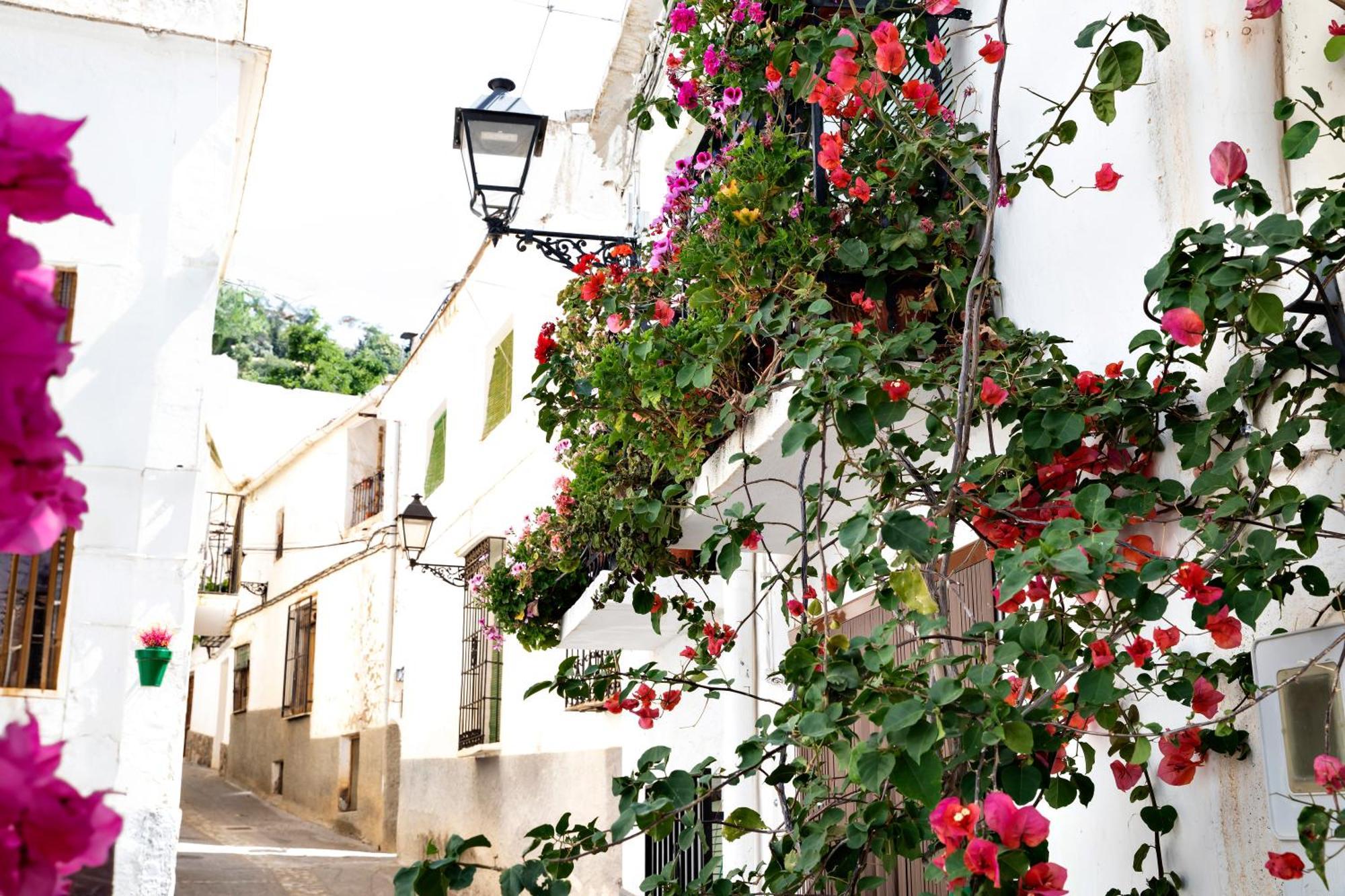 Alpujarra Relax Carataunas Ngoại thất bức ảnh